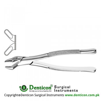 American Pattern Tooth Extracting Forcep Fig. 10S (For Upper Molars) Stainless Steel, Standard